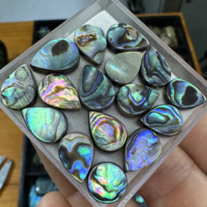 Abalone Concha - Gota - 13x9 mm - Calibrada - com furo