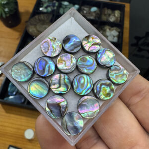 Abalone Concha - Redonda- 10x10 mm - Calibrada - com furo