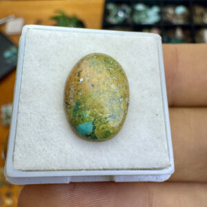 Turquesa Tibetana Natural - Cabochão -  Oval - 16x12