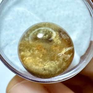 Lodolita - Mini Cabochão - Redondo - 15x15