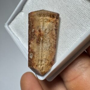 Lodolita - Ponta - 30x15